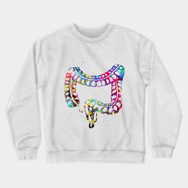 Lower gastrointestinal tract Crewneck Sweatshirt by erzebeth